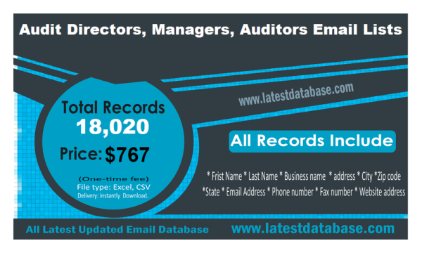 Audit Directors, Managers, Auditors Email Data Scrapings